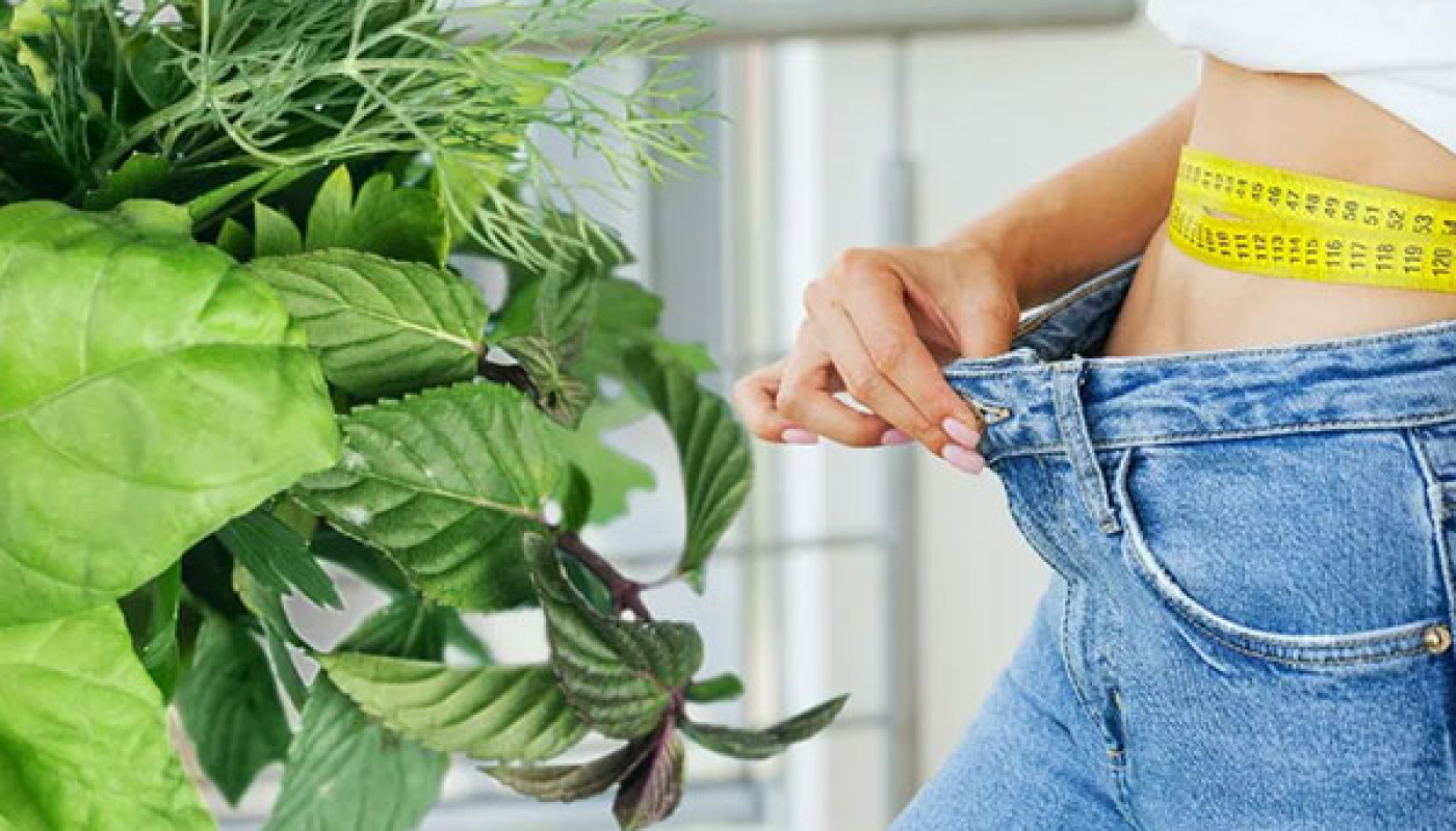 7. Pakiet odchudzający dieta 900kc 1200kc 1500kc warzywno owocowa plus ćwiczenia - pakietu nr 2