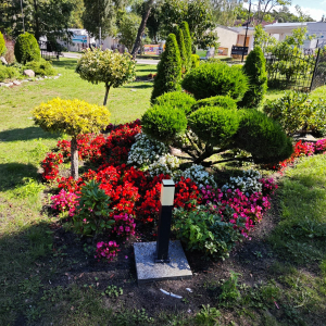 Zdjęcie WhatsApp 2025-09-13 o 14.08.35_37b8bf0d