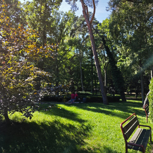 Zdjęcie WhatsApp 2025-09-13 o 14.08.35_6f1bdb2b