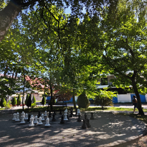 Zdjęcie WhatsApp 2025-09-13 o 14.08.35_b08c4b30