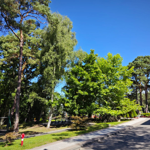 Zdjęcie WhatsApp 2025-09-13 o 14.08.35_d8f09cc2