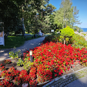 Zdjęcie WhatsApp 2025-09-13 o 14.08.35_db2ba50b