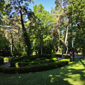 Zdjęcie WhatsApp 2025-09-13 o 14.08.35_f3cd8148